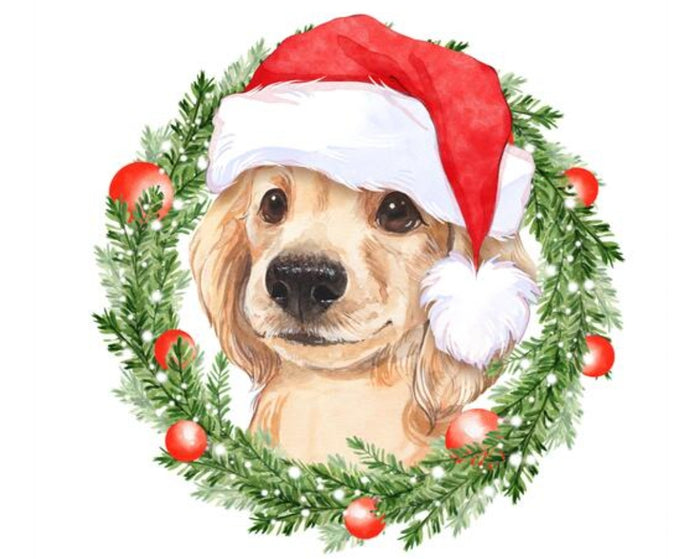 Paint Your Pet Christmas (Mt Pleasant)